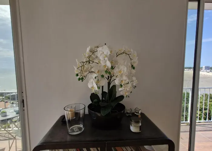 Georges De Didonne - Vue Panoramique Pour Ce Bel * Saint-Georges-de-Didonne